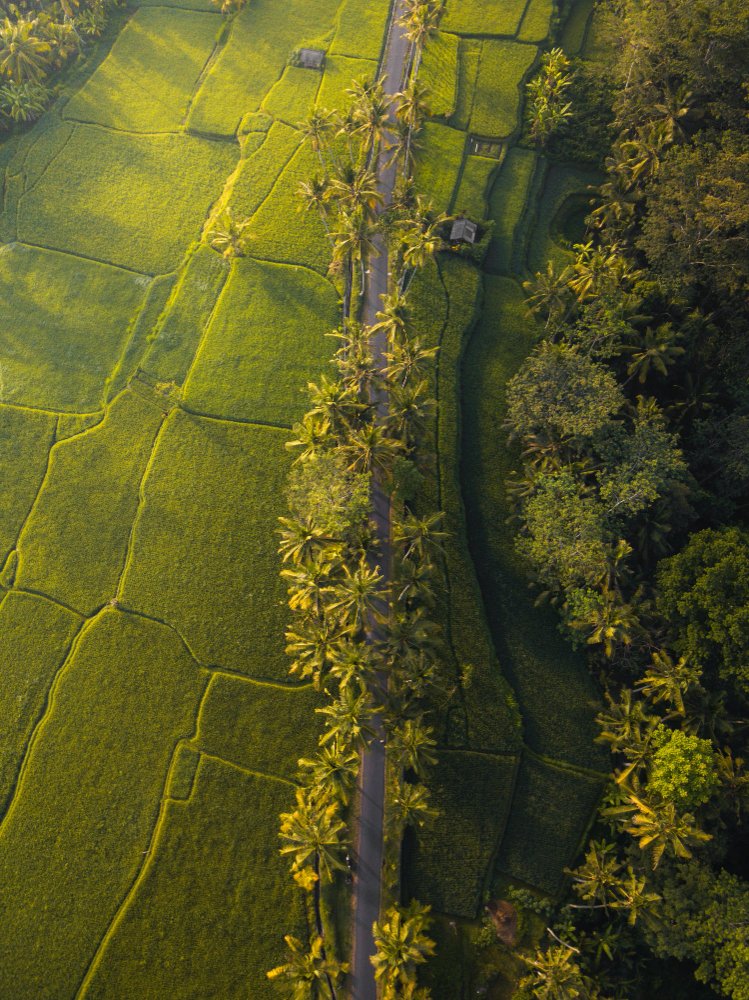 Munnar Travelers